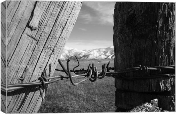 Wyoming Fence Canvas Print by Ben Murray