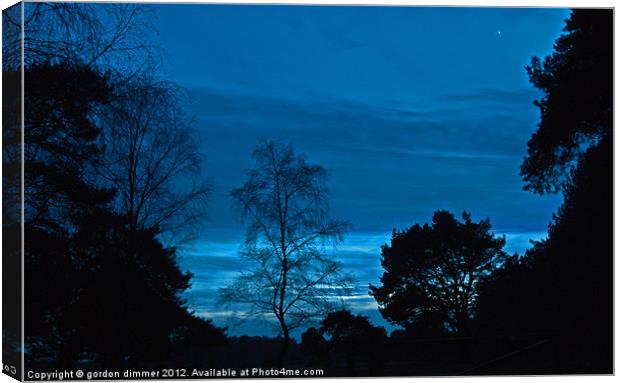 Blue sky in forest night Canvas Print by Gordon Dimmer