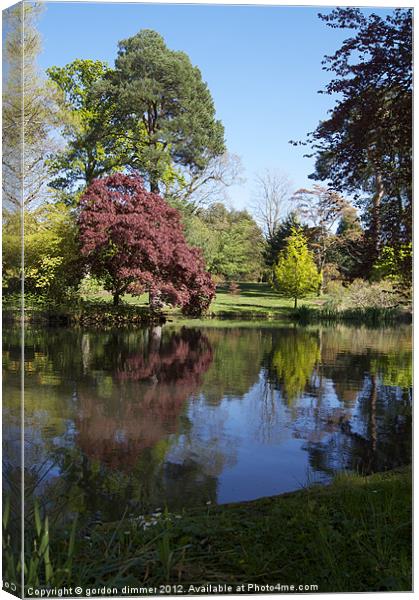 Reflections in Exbury garden pond Canvas Print by Gordon Dimmer