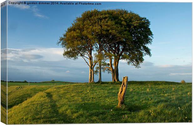A Striking Tree on Roundway Hill Canvas Print by Gordon Dimmer