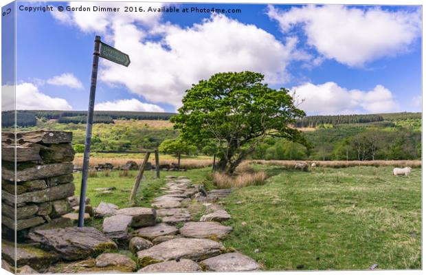 A Scenic Welsh Footpath in Snowdonia Canvas Print by Gordon Dimmer