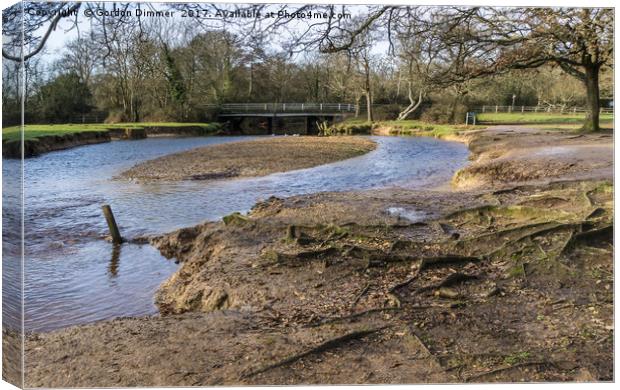 The Lymington River at Balmer Lawn near Brockenhur Canvas Print by Gordon Dimmer