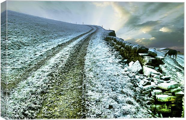 Icy Morning in Calderdale Canvas Print by Brian Middleton