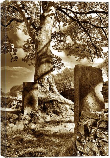 Gateposts HDR Canvas Print by Brian Middleton