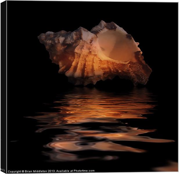 Shell Series Reflection 7 Canvas Print by Brian Middleton
