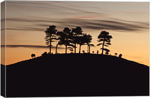 Colmers Hill Canvas Print by Paul Brewer