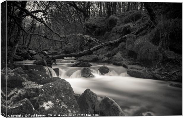 Golitha Falls in Black and White Canvas Print by Paul Brewer