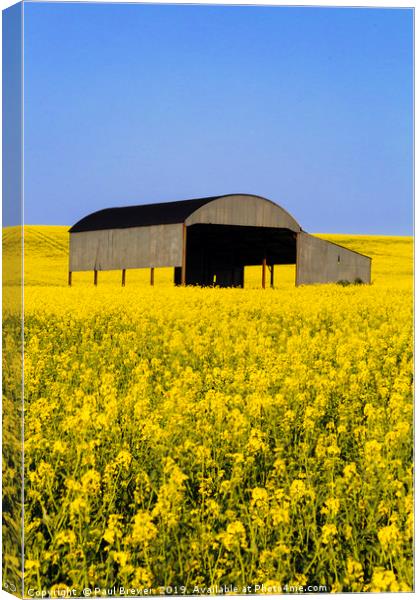 Dutch Barn Sixpenny Handley Canvas Print by Paul Brewer