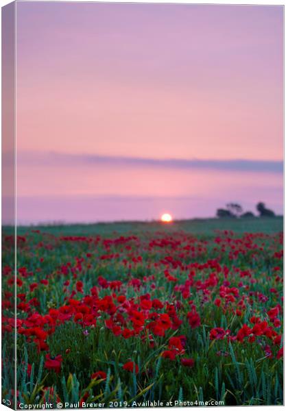 Sunrise over a sea of Red Canvas Print by Paul Brewer