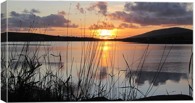 Evening in Dingle Canvas Print by barbara walsh