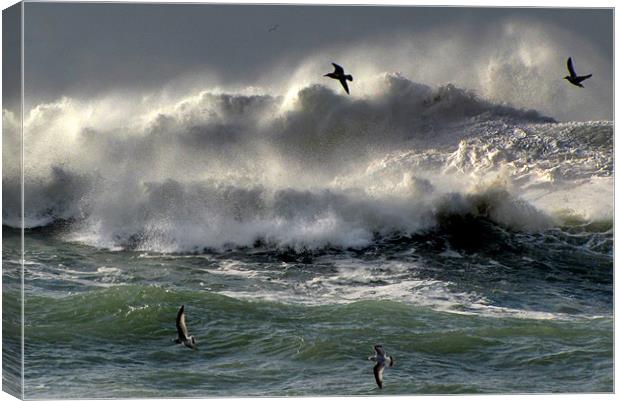 Waves on Clogher Beach Canvas Print by barbara walsh