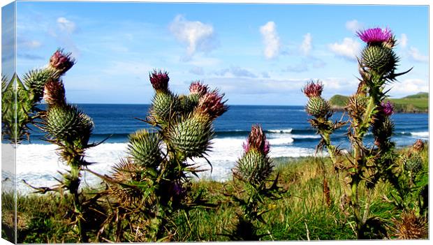 Kinard Beach Canvas Print by barbara walsh