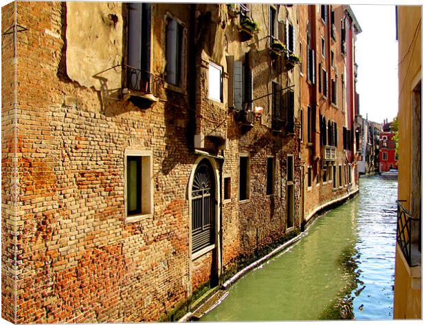 Venice Canvas Print by barbara walsh