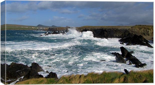 Wild Sea at Clogher Head Canvas Print by barbara walsh