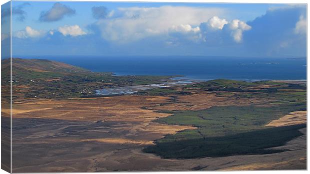 View from the Connor Pass Canvas Print by barbara walsh