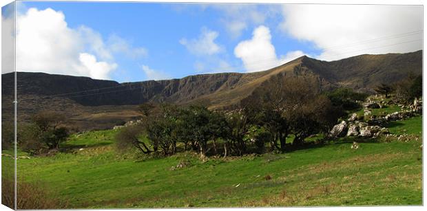 Landscape around Mount Brandon Canvas Print by barbara walsh