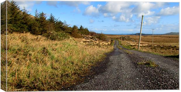Road back to Cloghane Canvas Print by barbara walsh