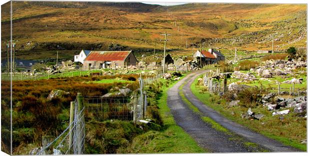 End of the Road Canvas Print by barbara walsh