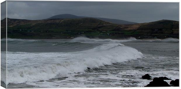 Winestrand Canvas Print by barbara walsh