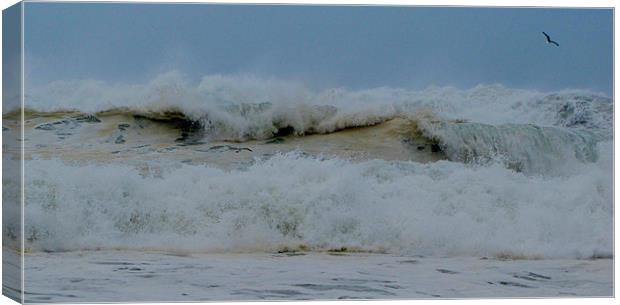 Waves Canvas Print by barbara walsh