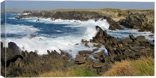 Clogher Canvas Print by barbara walsh