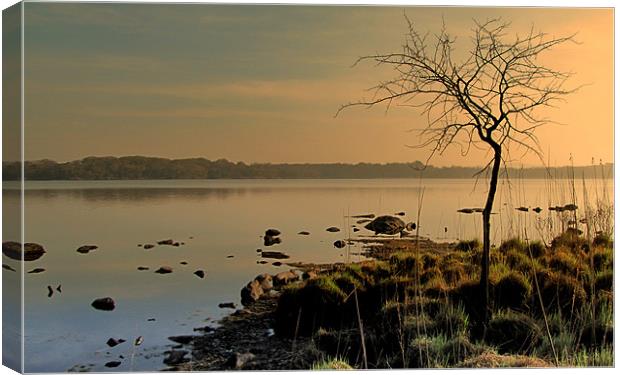 Morning at the Lake Canvas Print by barbara walsh