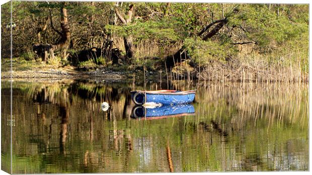 Boat on Muckross Lake Canvas Print by barbara walsh