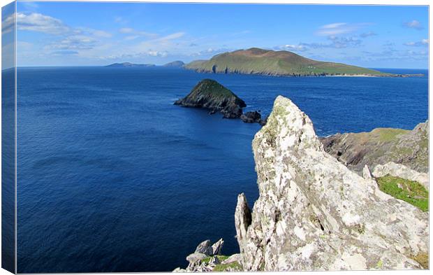 View of the Blasket Islands Canvas Print by barbara walsh