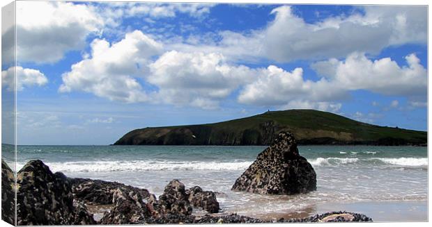 Beenbane Beach Canvas Print by barbara walsh