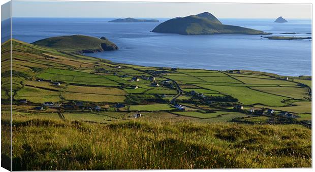 View of the Blasket Islands Canvas Print by barbara walsh