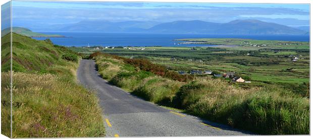 View over Ventry Bay Canvas Print by barbara walsh