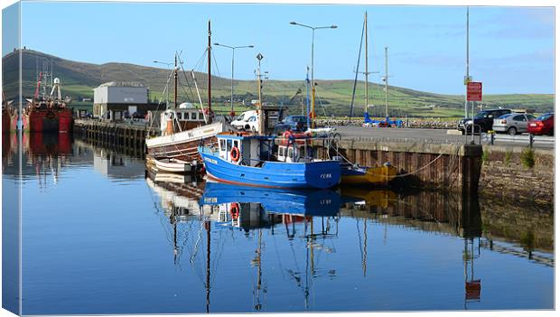 Dingle Harbor Canvas Print by barbara walsh