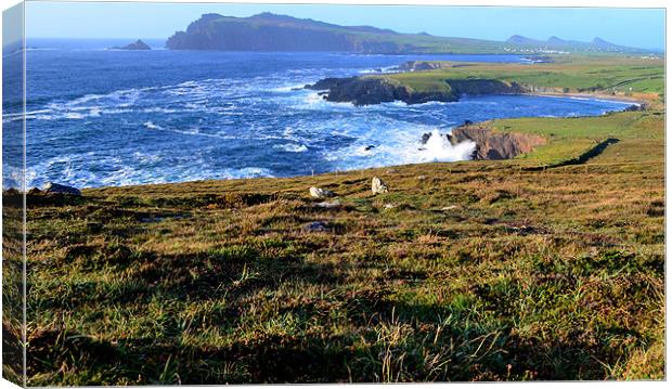 View of clogher beach and the three sisters Canvas Print by barbara walsh