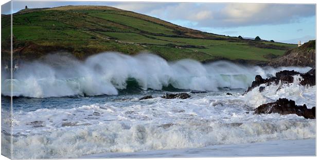 Waves Canvas Print by barbara walsh