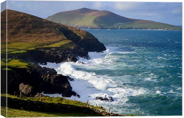 Blasket Island Canvas Print by barbara walsh