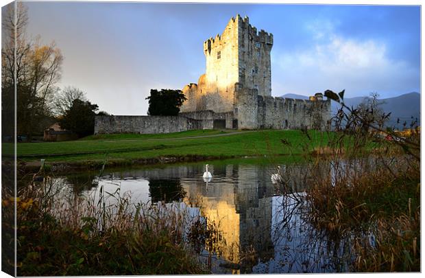 Ross Castle Canvas Print by barbara walsh