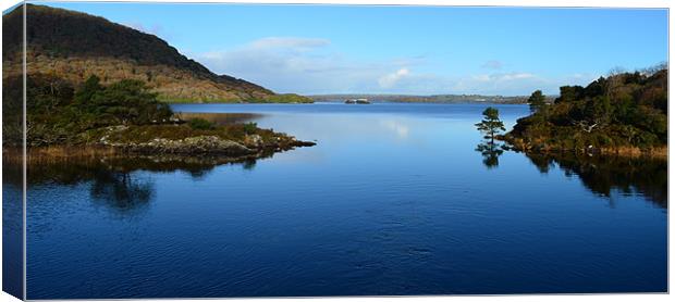 Killarney National Park Canvas Print by barbara walsh