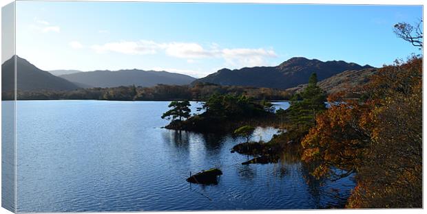 Killarney Lake Canvas Print by barbara walsh