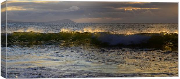 Waves Canvas Print by barbara walsh