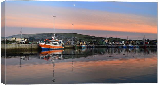 Evening in Dingle Canvas Print by barbara walsh