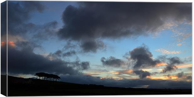 Sunrise Dingle Canvas Print by barbara walsh