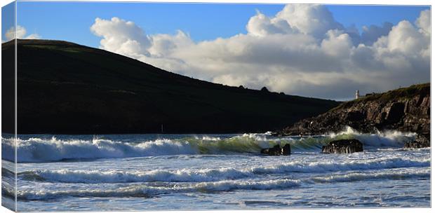 Beenbane beach Canvas Print by barbara walsh