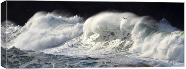 Waves Canvas Print by barbara walsh
