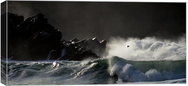 Lovely wave Canvas Print by barbara walsh