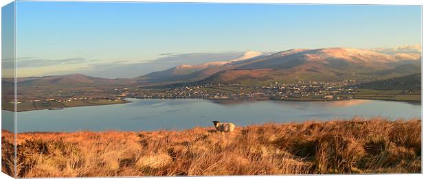 View over Dingle Bay Canvas Print by barbara walsh