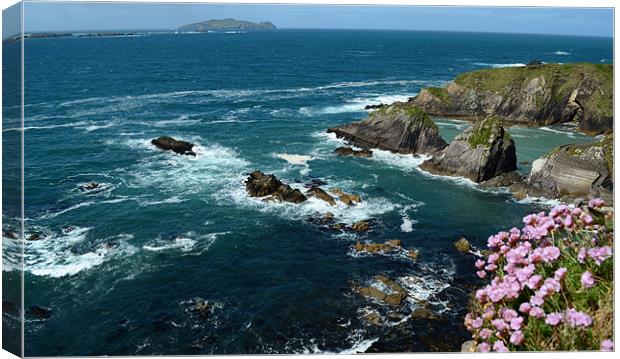 View from Dunquin Pier Canvas Print by barbara walsh