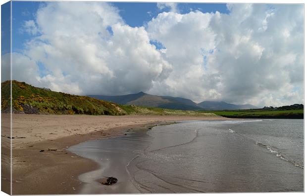 Dunsheen beach Canvas Print by barbara walsh