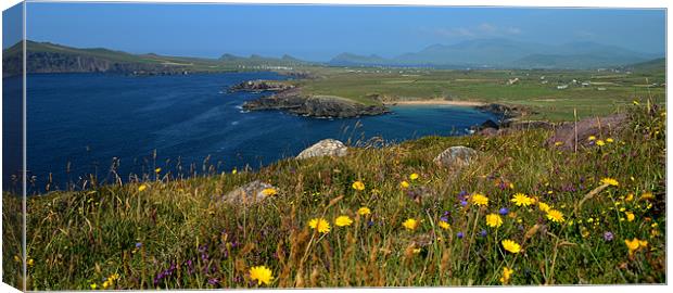 Summer in Ireland Canvas Print by barbara walsh