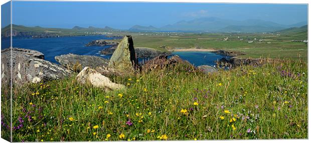 View over to Clogher beach Canvas Print by barbara walsh