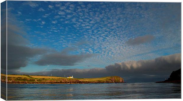 Evening in Dingle Bay Canvas Print by barbara walsh